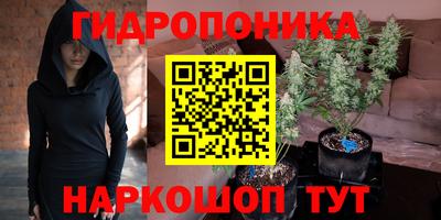 шишки Среднеуральск