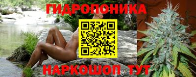 шишки Среднеуральск