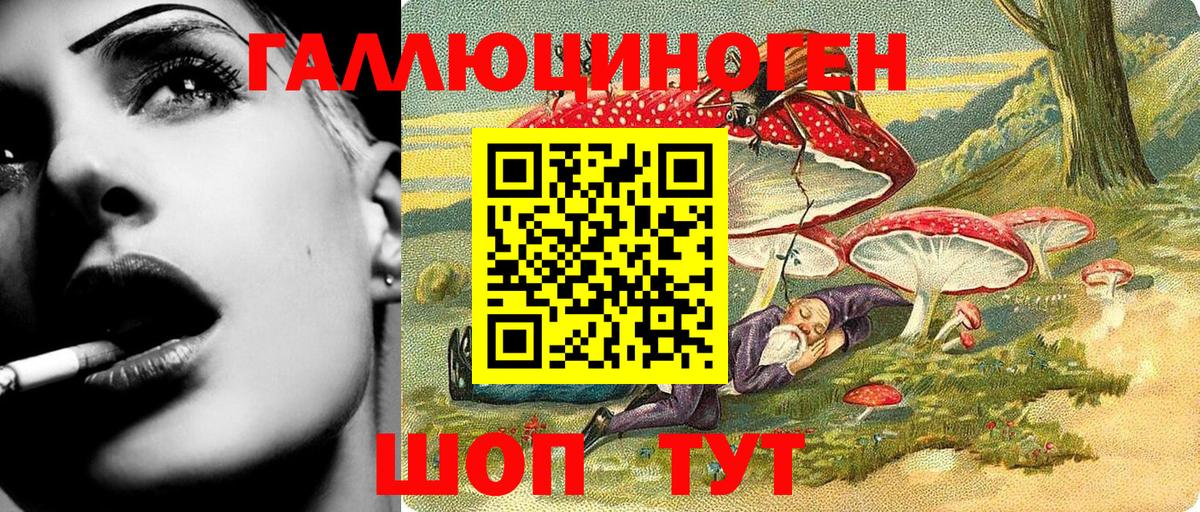 Псилоцибиновые грибы мицелий  Галлюциногенные грибы GOLDEN TEACHER  Вход с VPN  Сальск 